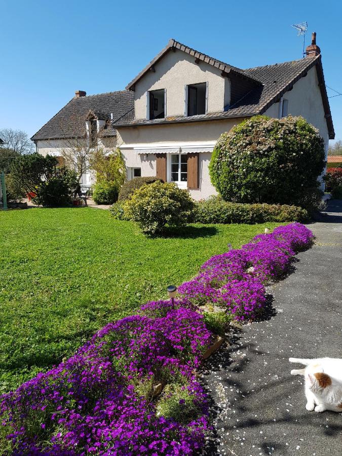 Chambres D'Hotes Anne-Marie Chatillon-sur-Indre Ngoại thất bức ảnh